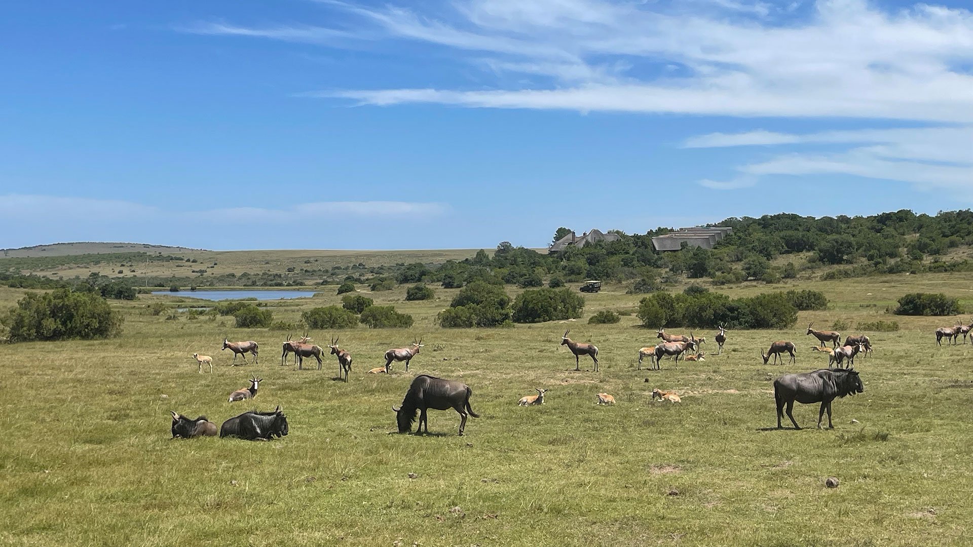 Zu Besuch im Kwantu-Reservat 