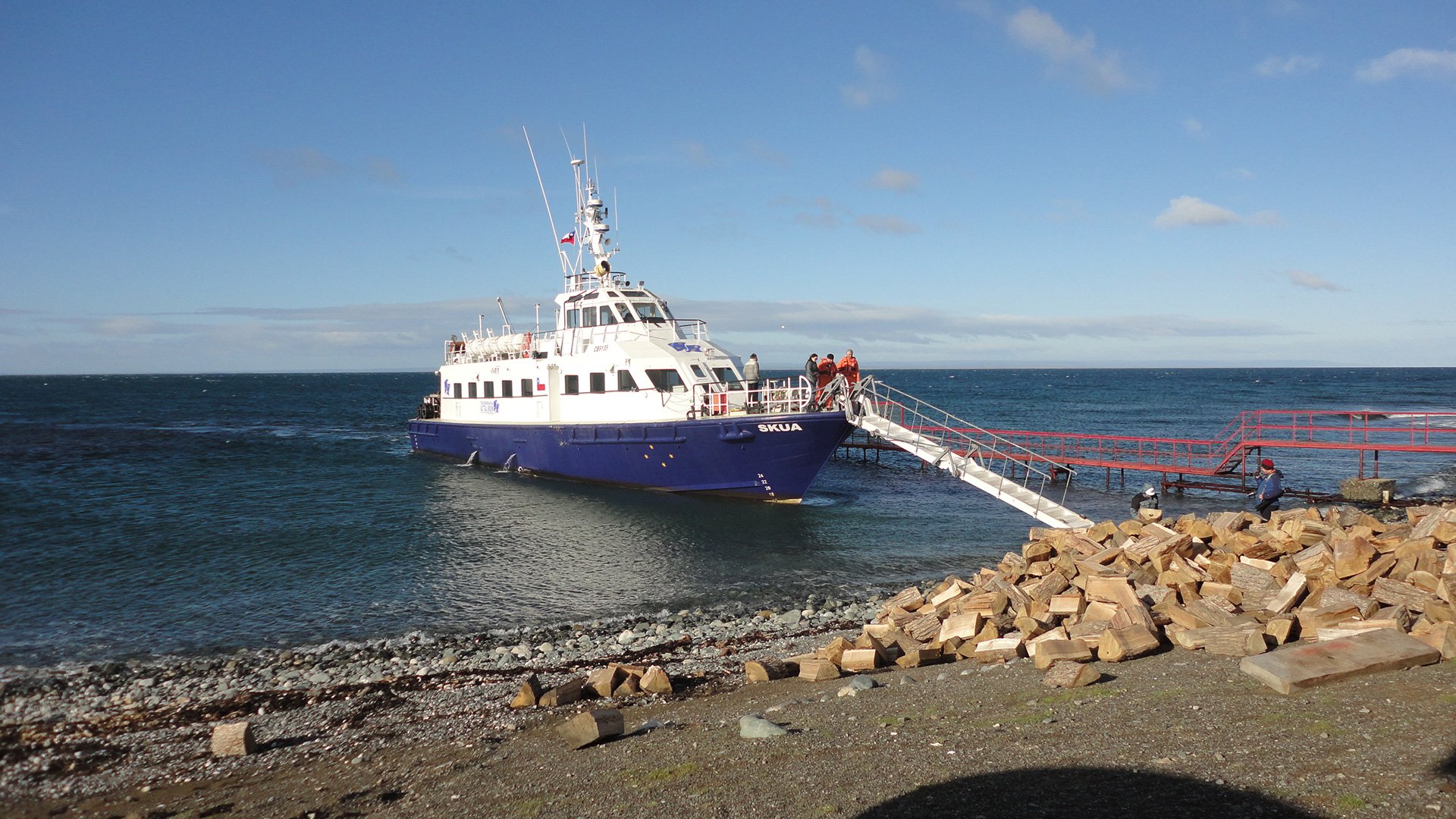 Mit dem Schnellboot zu den Pinguinen der Magdaleneninsel