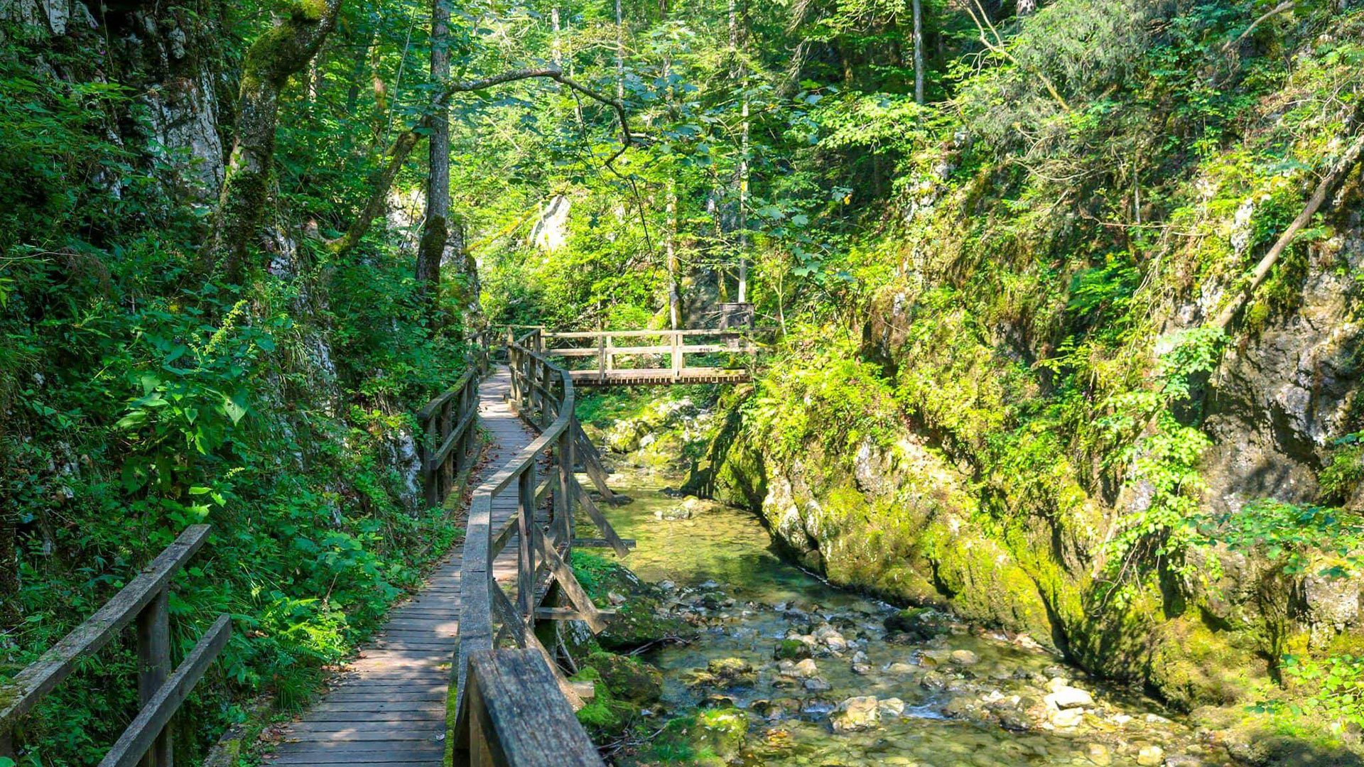 Wanderung durch die Kamačnik-Schlucht