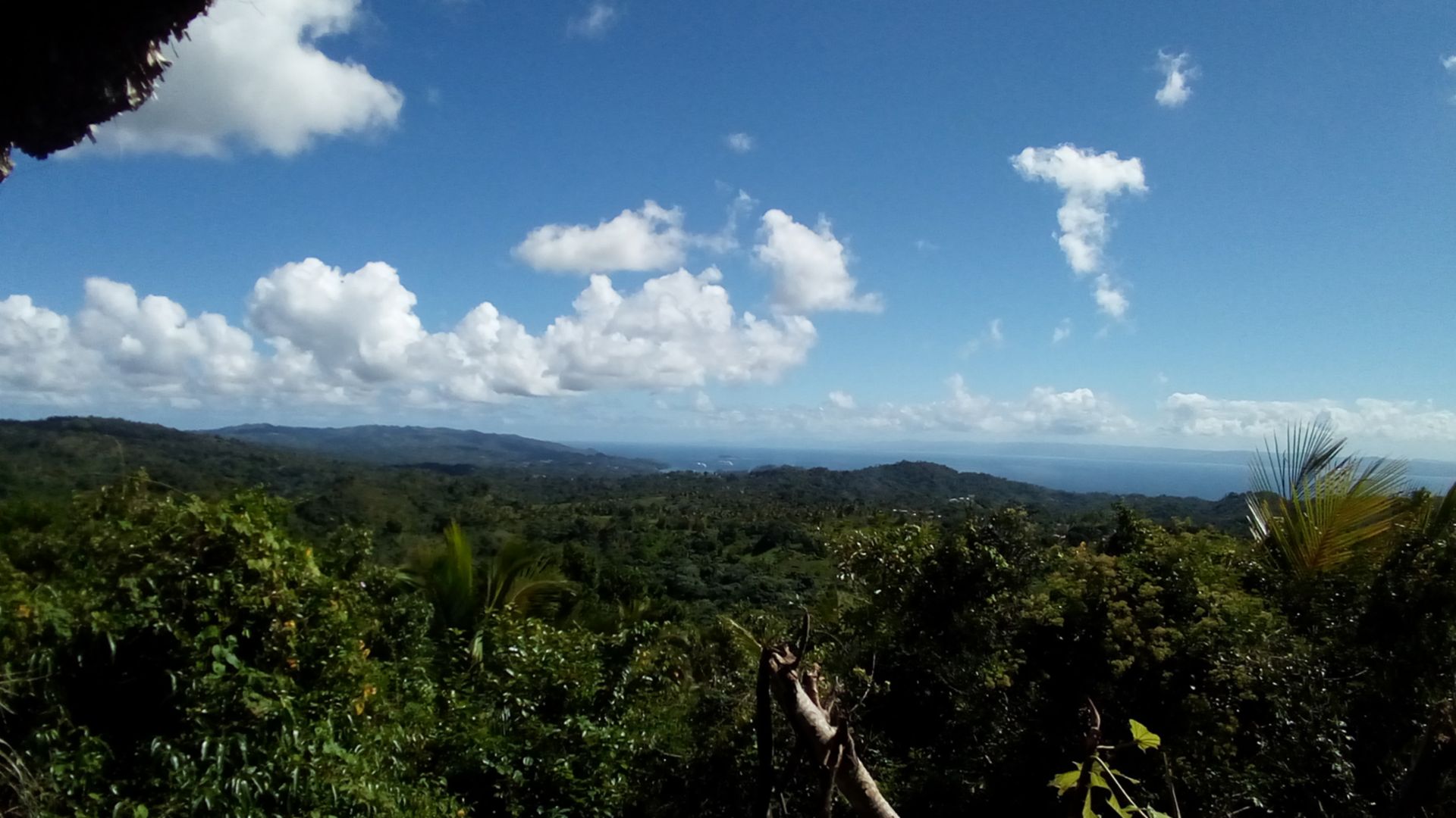 Zipline Abenteuer im Regenwald