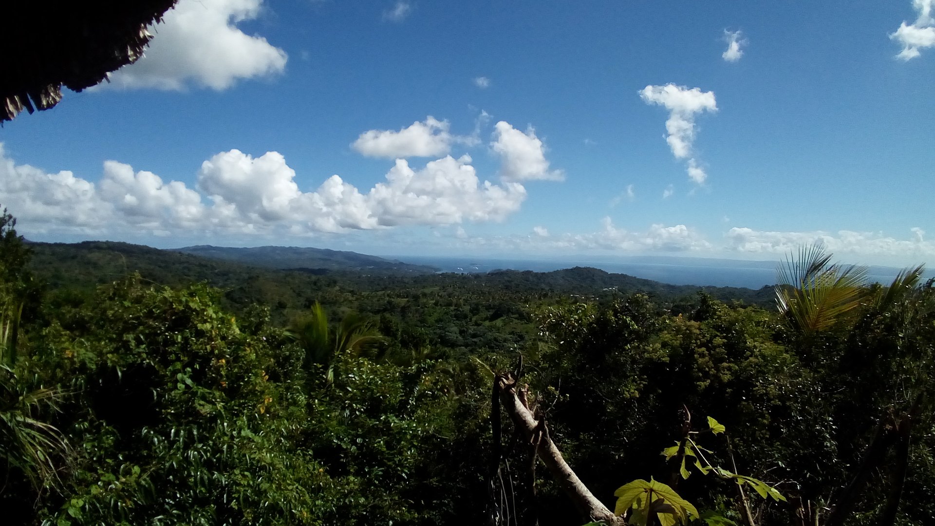 Canopy-Tour