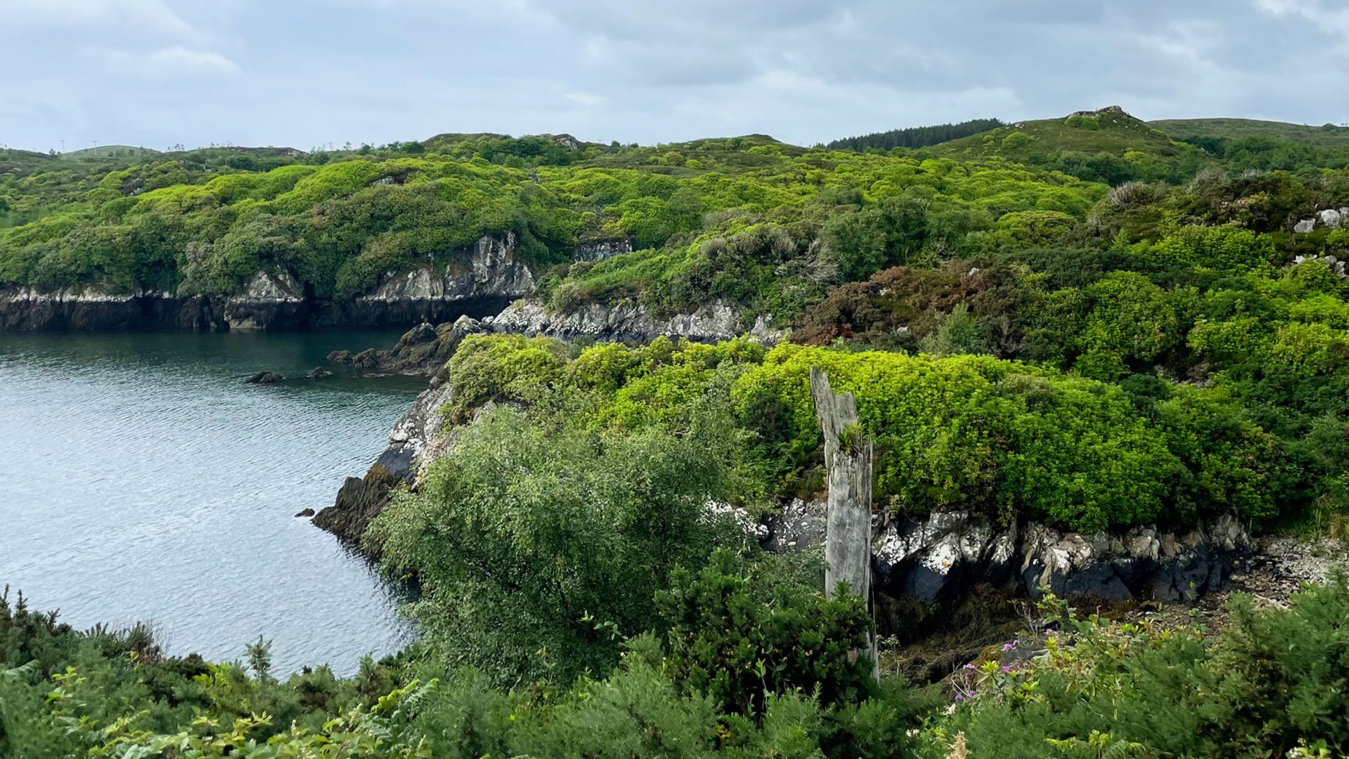 PRIVAT-Tour ab Stornoway - Auto