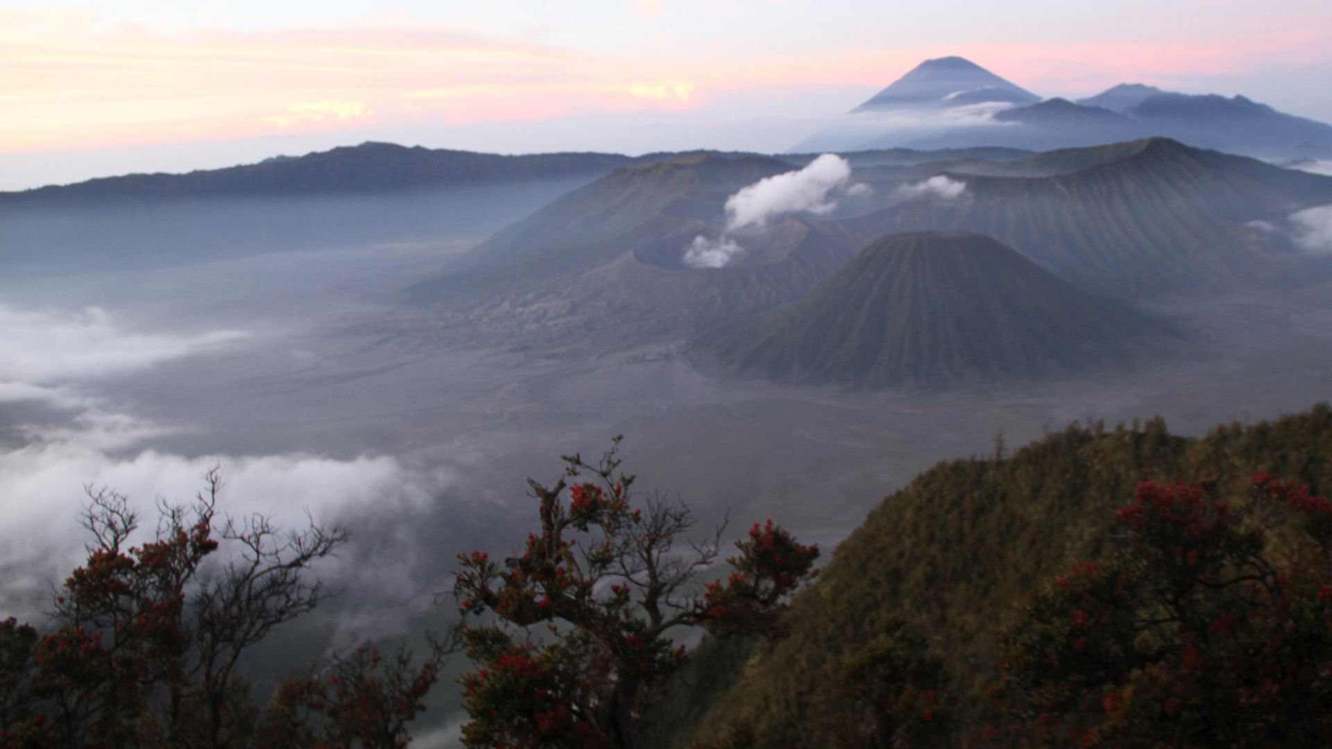Mount Bromo - Majestätischer Vulkan auf Java