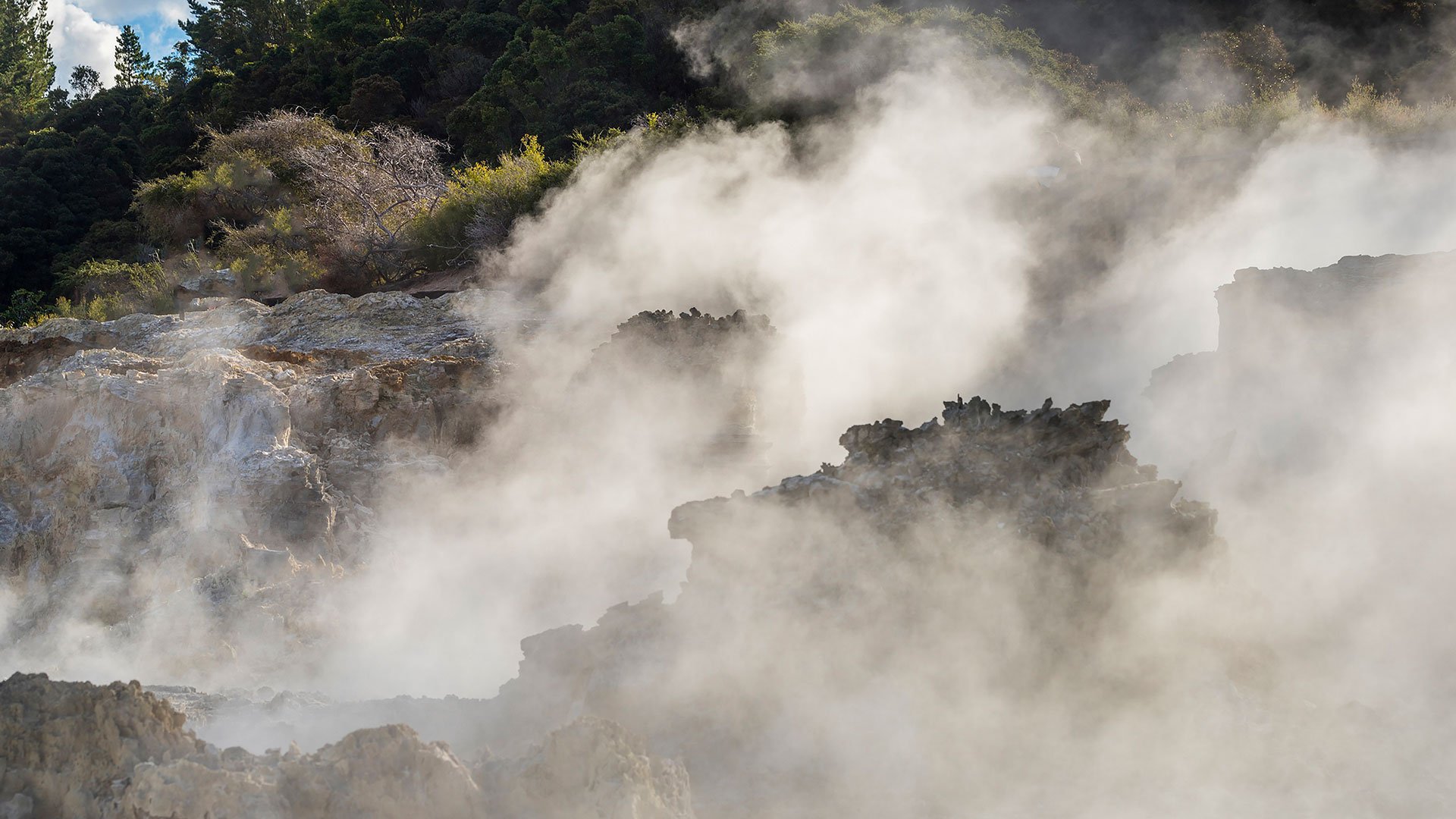 Abenteuer Jetboot und Hell´s Gate in Rotorua