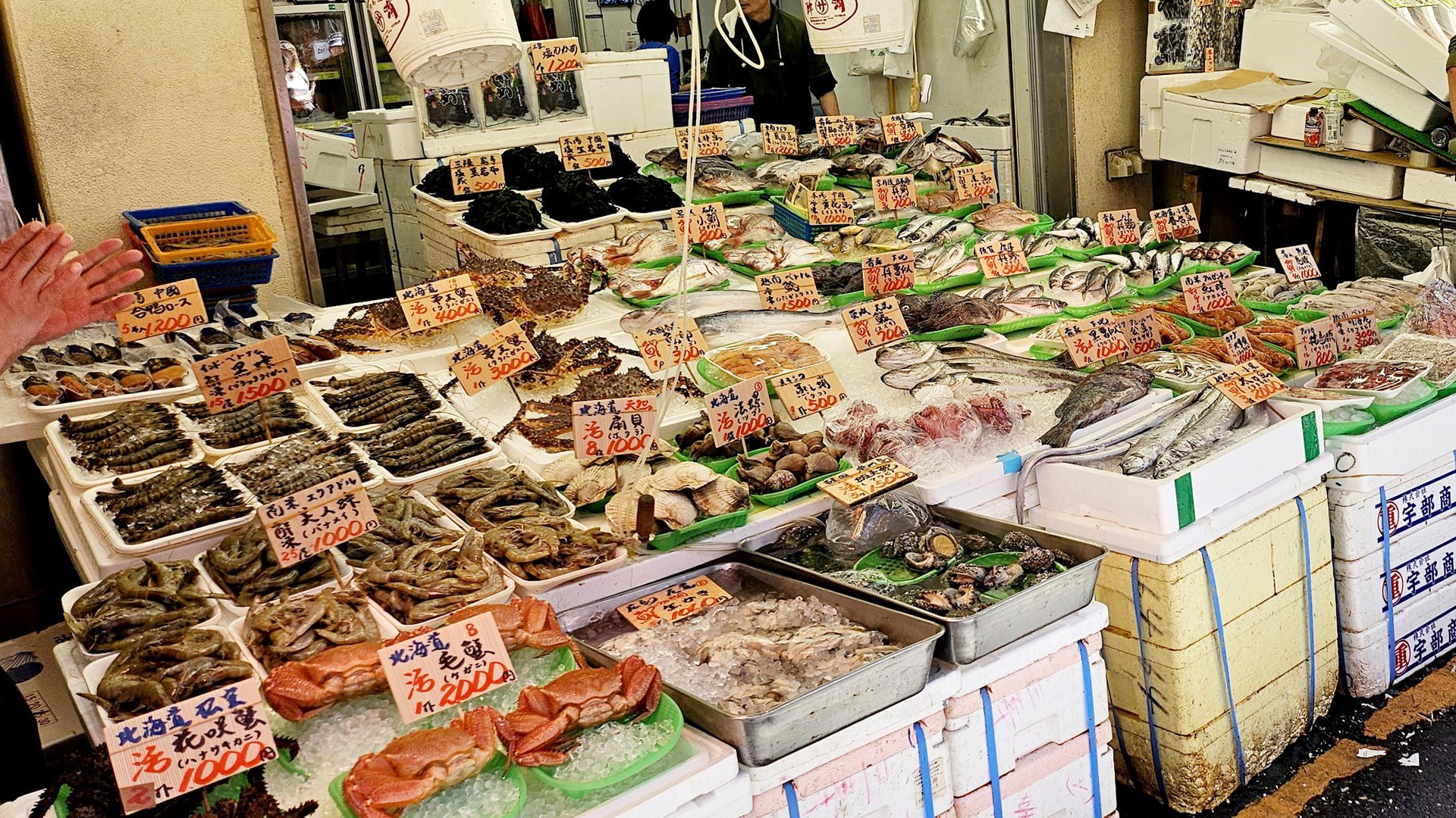 Berühmter Tsukiji Outer Market und Shopping im Ginza-Einkaufsviertel