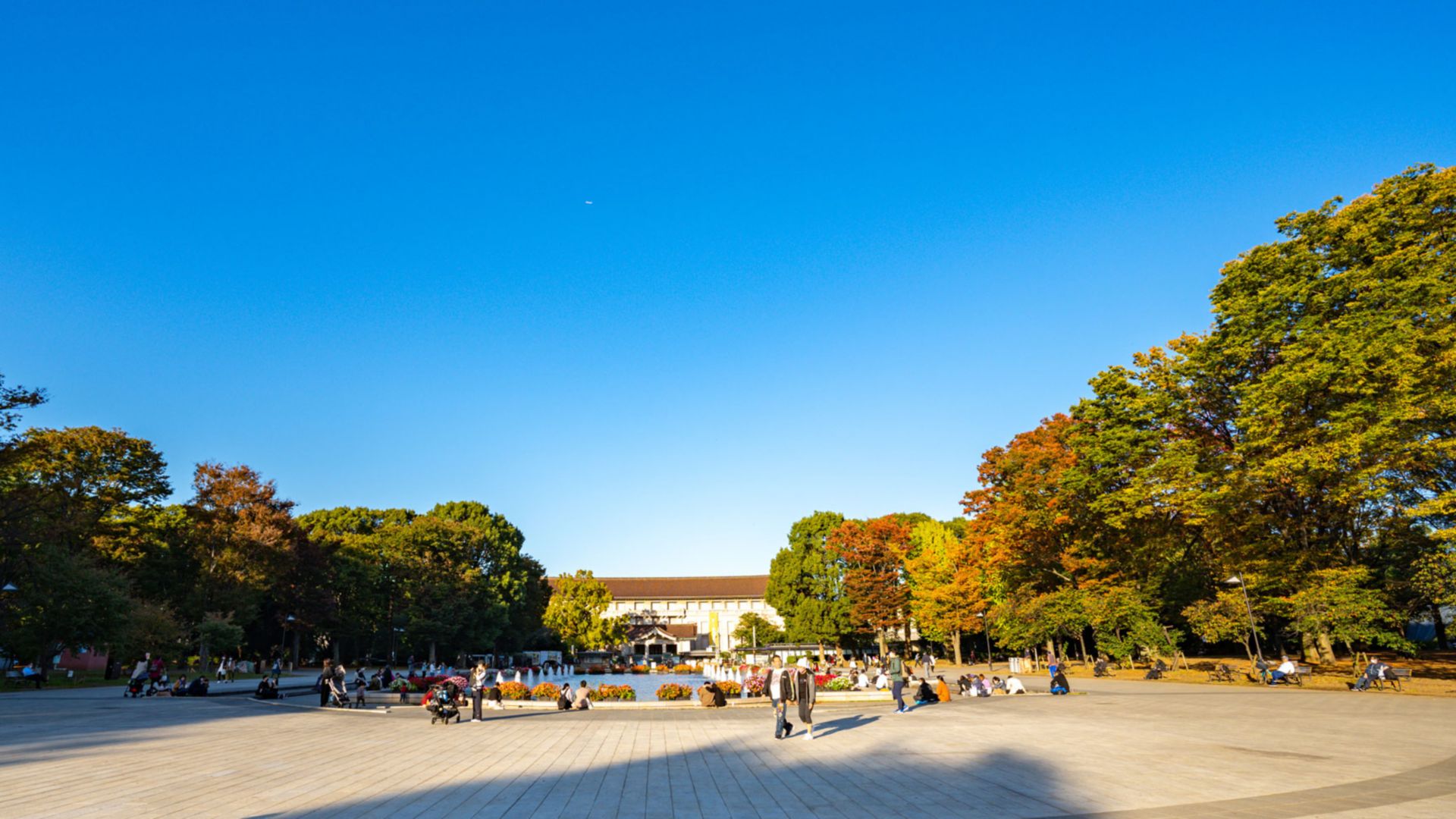 Ueno-Park und Origami Museum