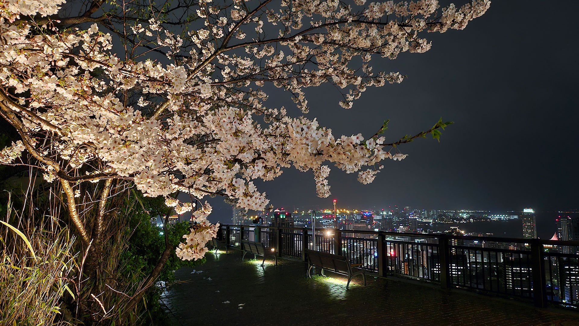 Abendliche Aussicht und Shoppingvergnügen