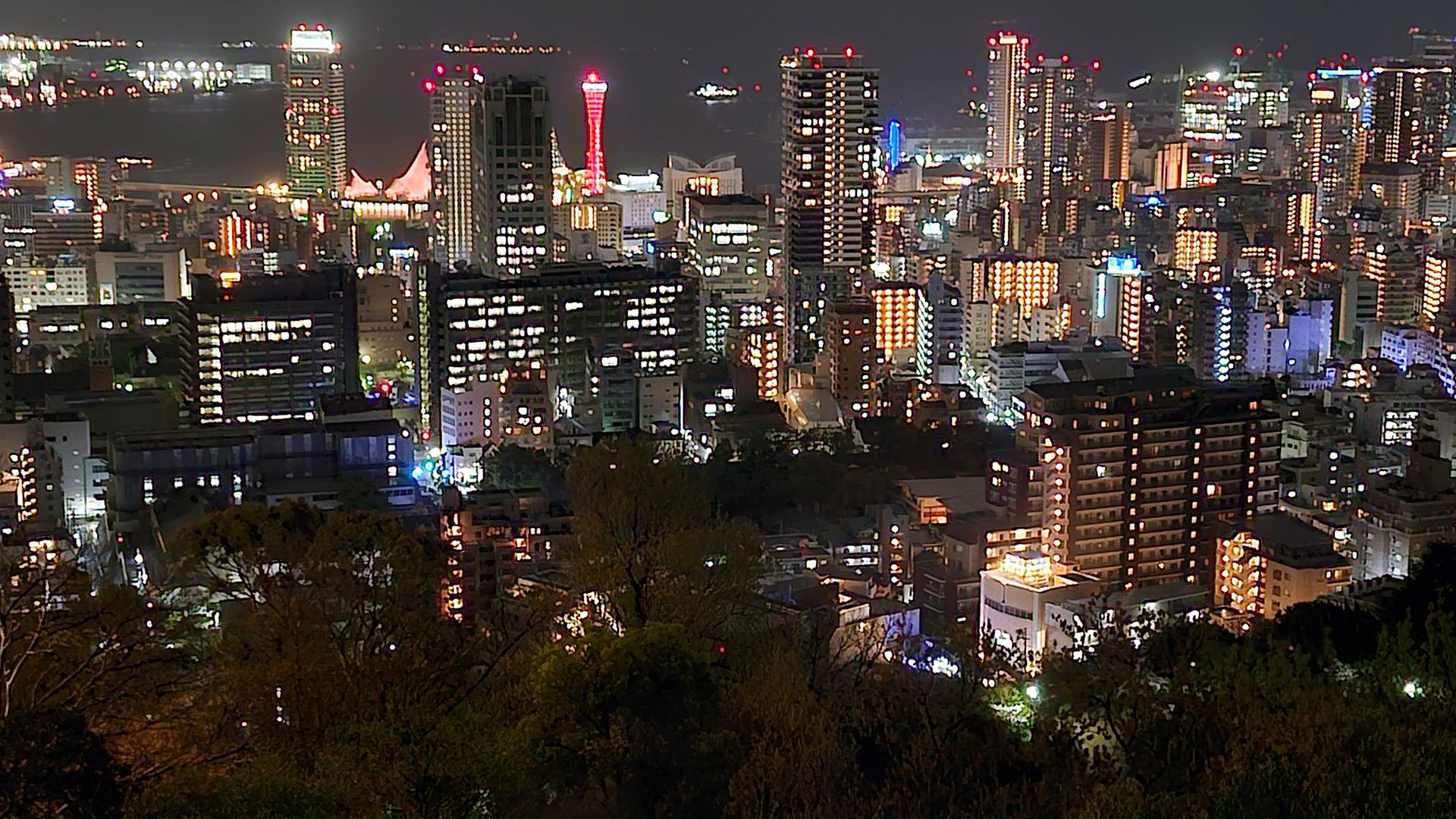 Kulinarisches Highlight: Abendessen mit Original Kobe-Rind
