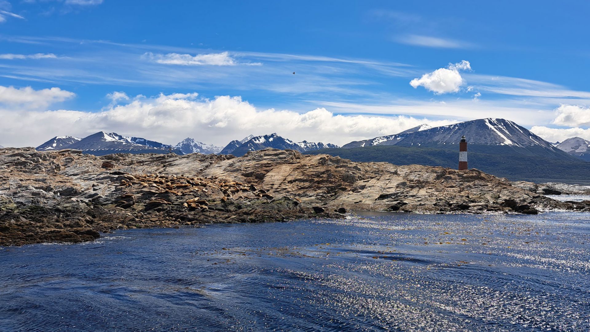 Mit Bus und Boot den Beagle-Kanal und Nationalpark entdecken