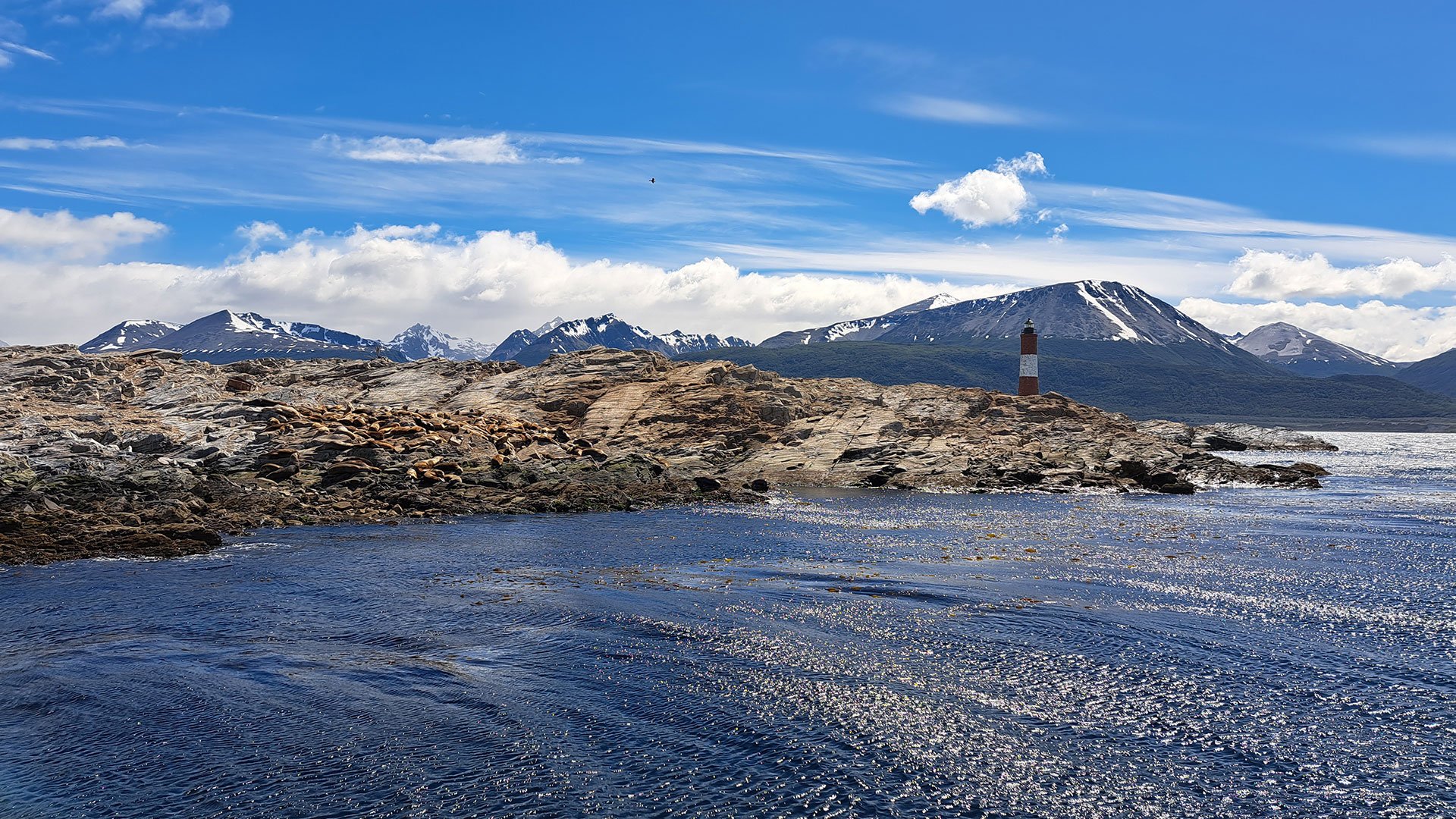 Mit Bus und Boot den Beagle-Kanal und Nationalpark entdecken