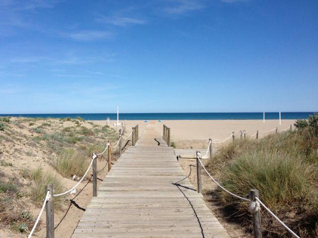 Ein halber Tag am Strand