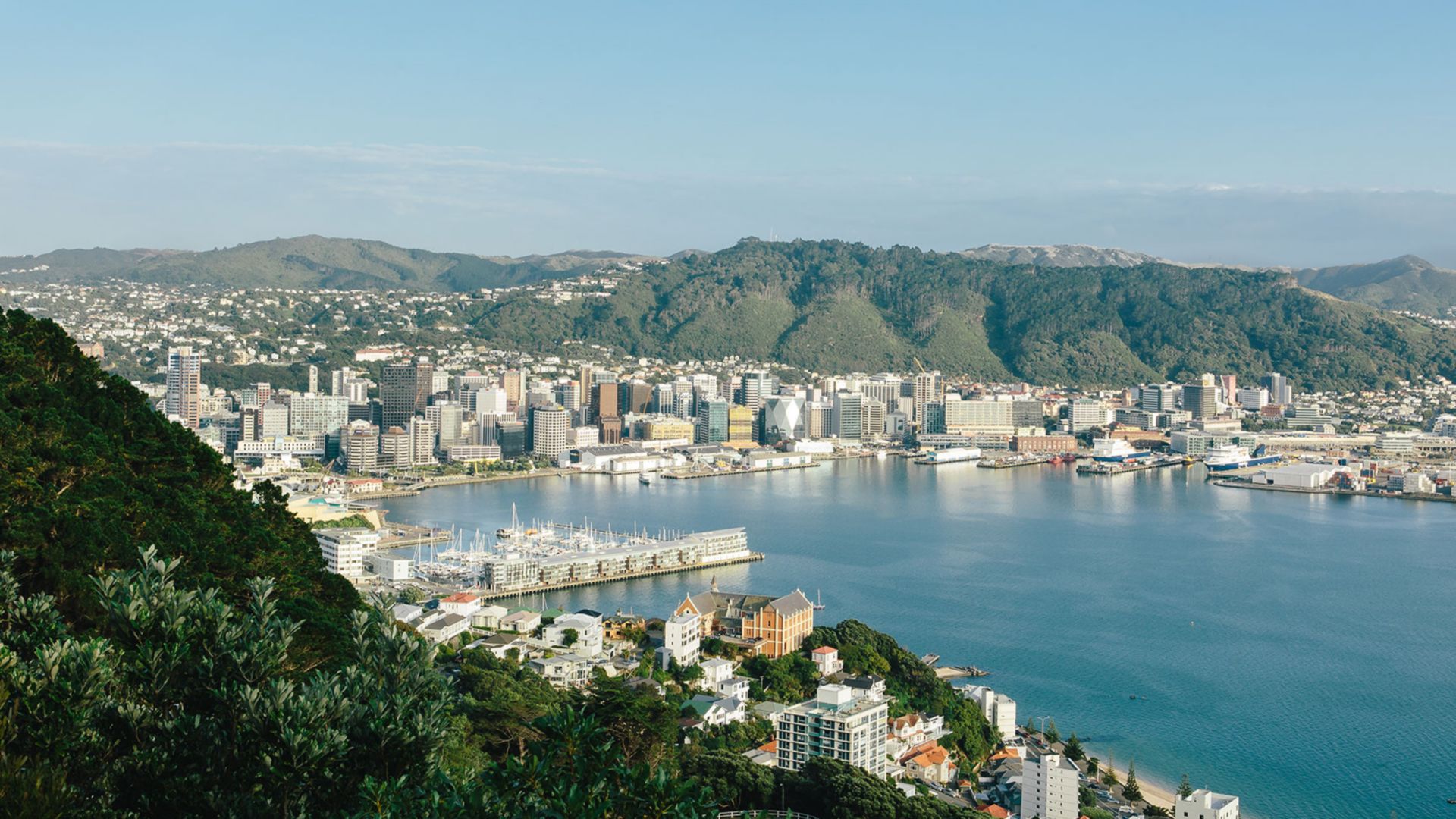 Wellingtons Highlights: Stadt und Maorikultur