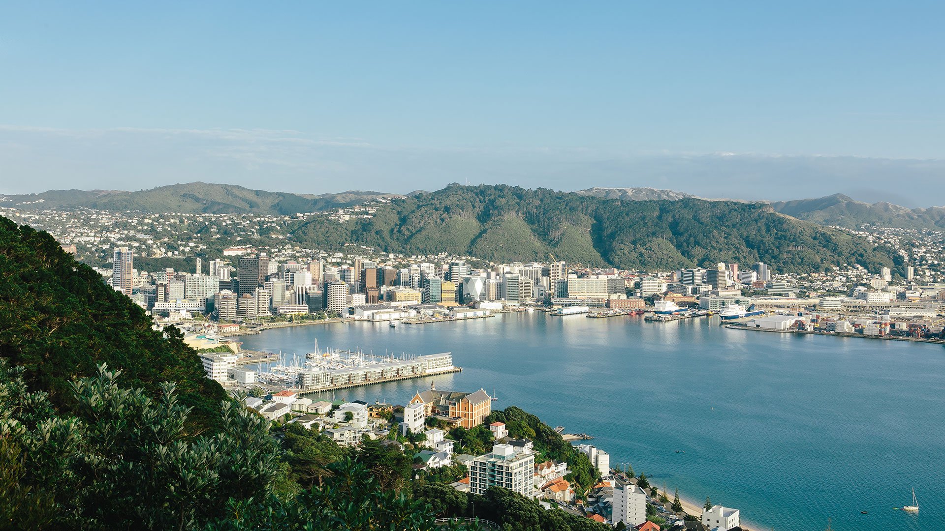 Wellingtons Highlights: Stadt und Maorikultur