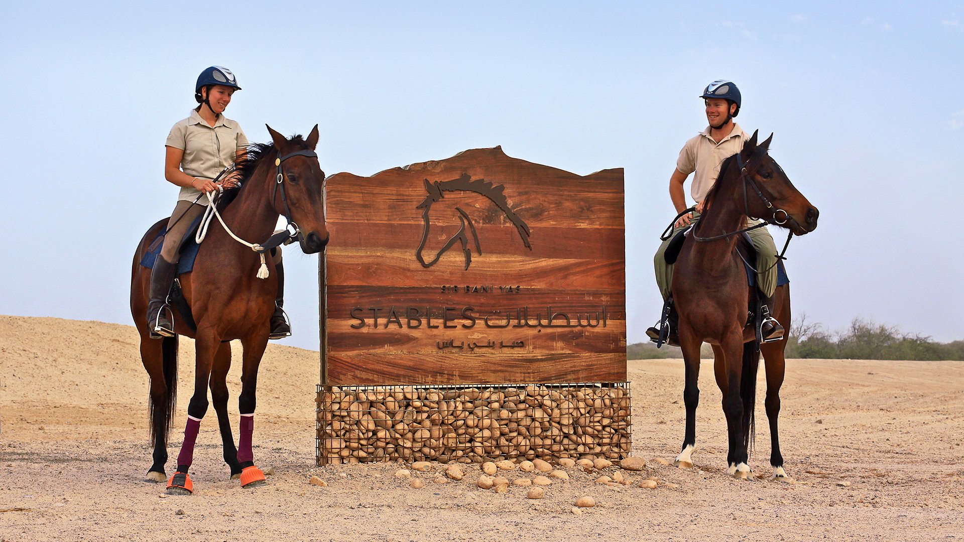 Auf dem Rücken der Pferde Sir Bani Yas Island entdecken