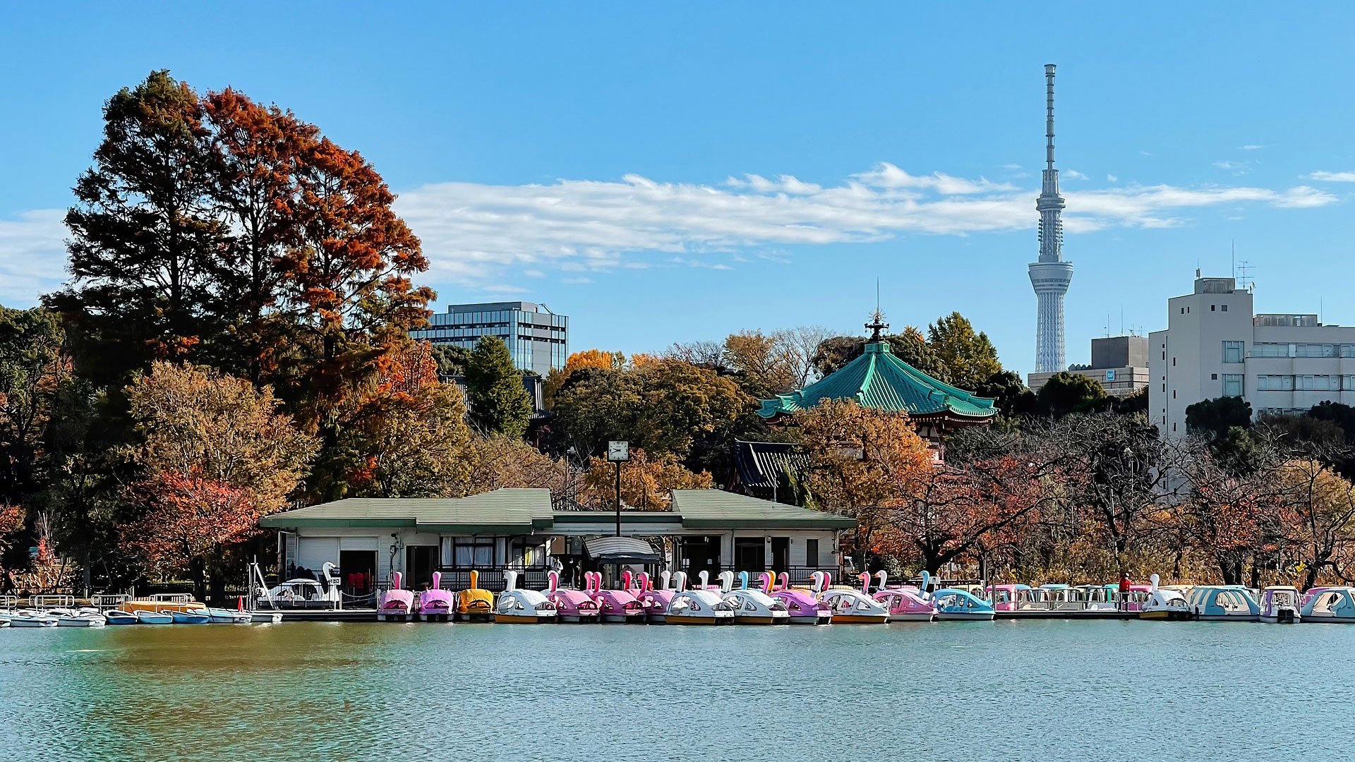In Tokio zum Meji Jingu Schrein und Sensoji Tempel