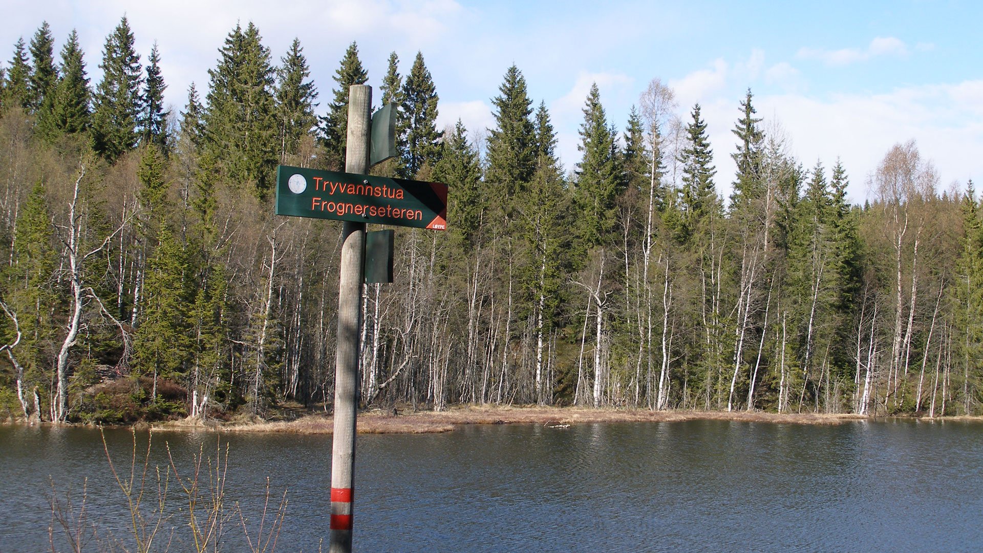 Waldwanderung in der Nordmarka