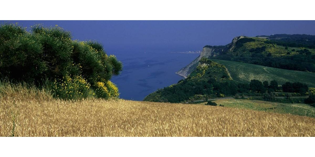 Vista panoramica della Riviera Adriatica dal Parco del San Bartolo nelle Marche