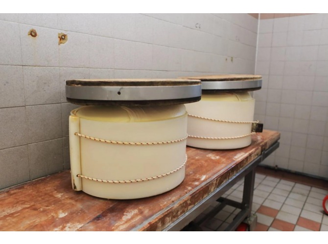 Parmigiano-visita-Modena