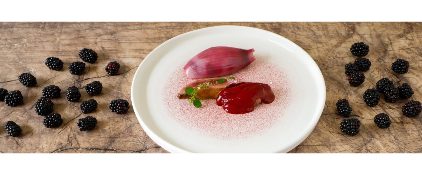 Il piatto mostra, servito in maniera elegante, petto di piccione una vellutata salsa di more e una falda di cipolla rossa caramellata