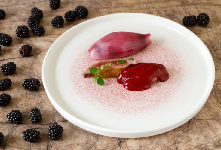 Servire il petto di piccione con salsa alle more e cipolla caramellata