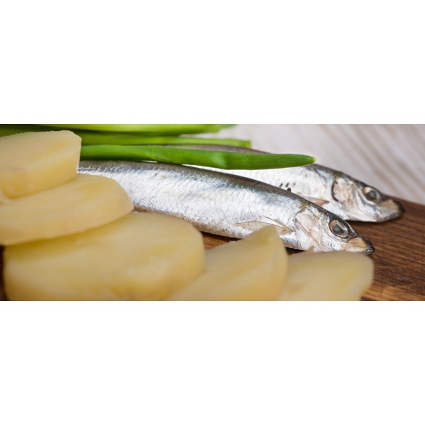 Acciughine all'olio extravergine di oliva toscano Igp 