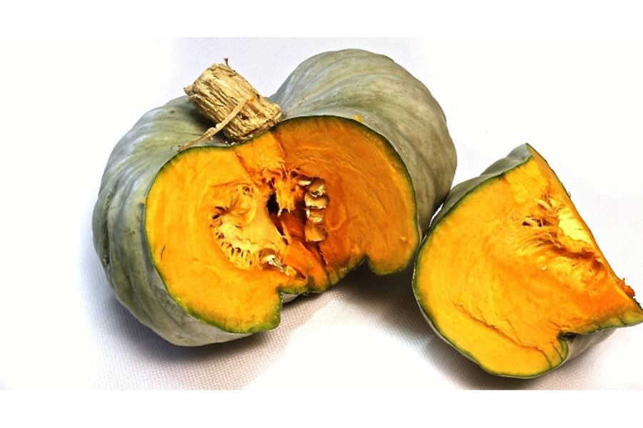 Cannoncini croccanti di zucca con crema di Parmigiano Reggiano D.O.P., ristretta di balsamico e semi di zucca speziati