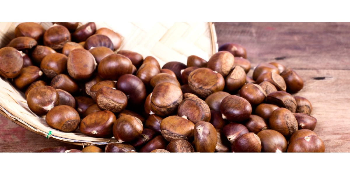 Castagne