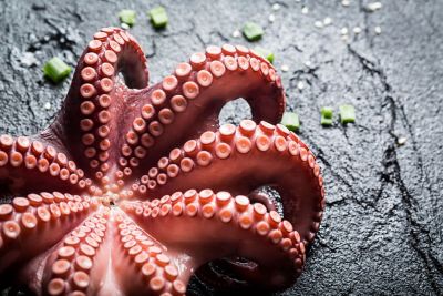 I tentacoli del polpo si aprono su un piatto dal fondo nero, mostrando l&#39;ingrediente principale delle 15 ricette