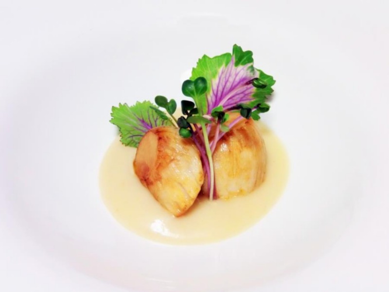 Entrèe di capesante su crema di patata bianca con beurre blanc 