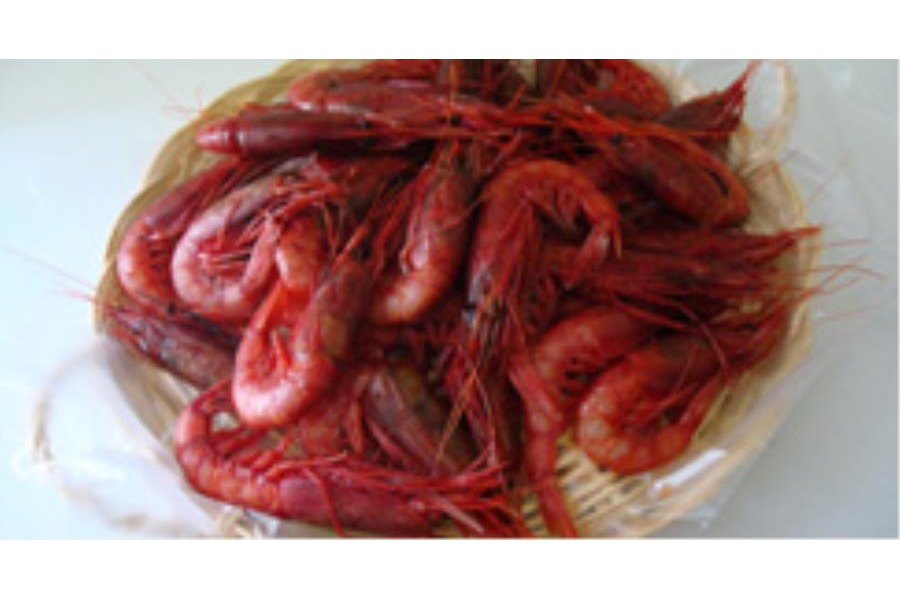 Filetto di rombo con coulis di crostacei in crosta di zucchine