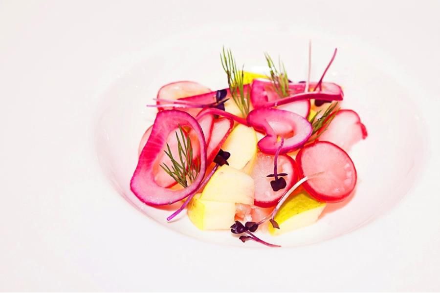 Insalata di mela verde cipolla rossa e ravanelli 