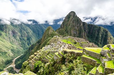 La vigna a Machu Picchu. Sempre più in alto!