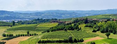 Una giornata sulle colline del Monferrato