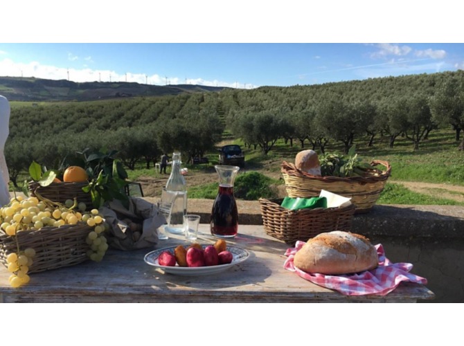 olio-biologico-agrigento