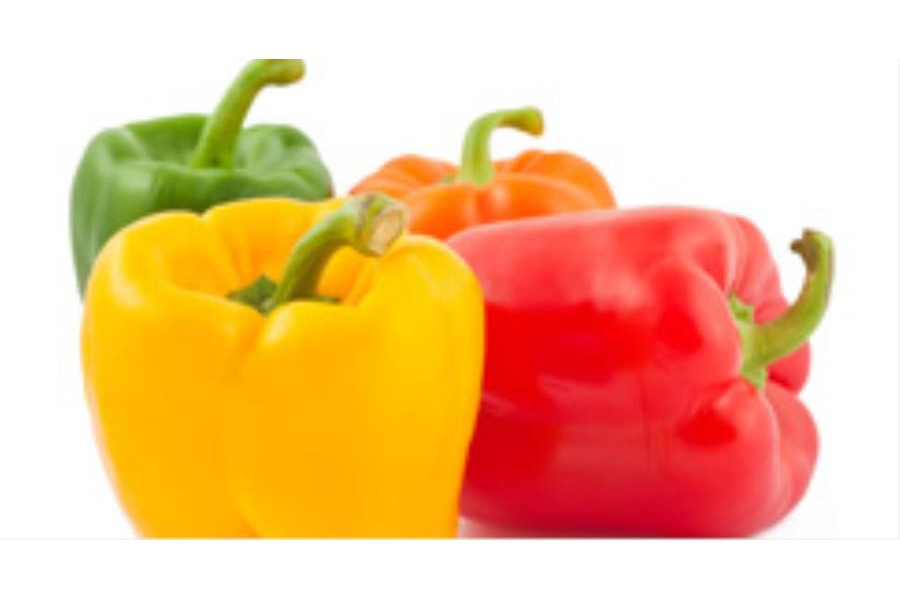 Palamita con fonduta di peperoni e macedonia di melone