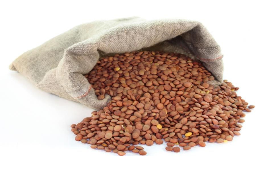 Petto di pollo con crema di lenticchie dell'altopiano di Colfiorito