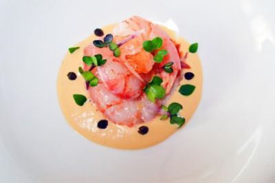 Salsa al burro bianco con ricci di mare e gambero violaalt