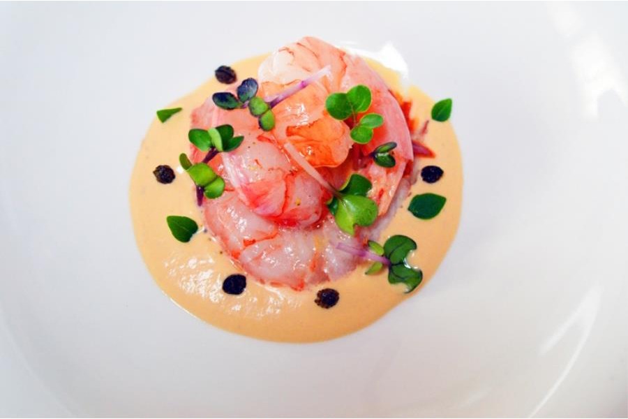 In una ciotola è servita una vellutata salsa al burro bianco con, al centro, gamberi viola marinati e decorati con basilico e germogli