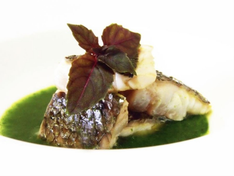 Sarago grigliato all'arancia su succo di bietola