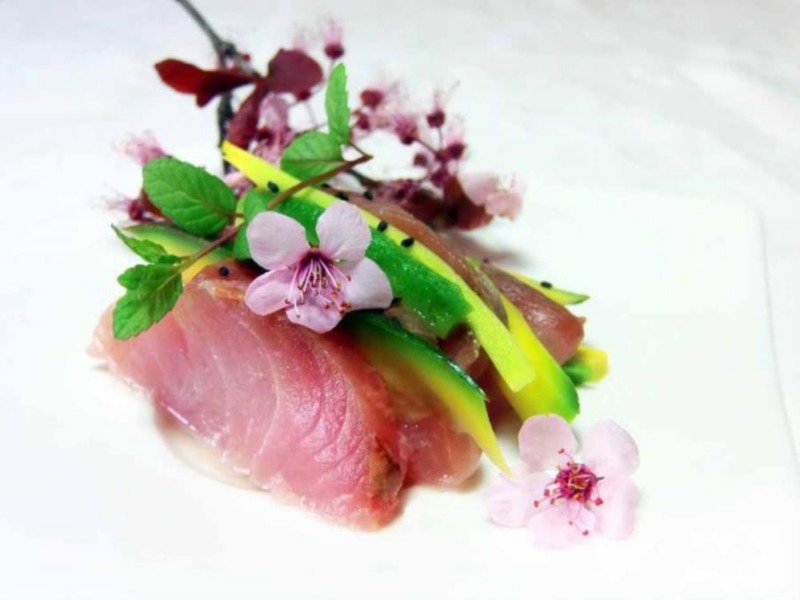Sashimi di ricciola rossa con avocado
