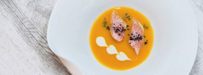 Vellutata di zucca con filetti di triglie scottatealt