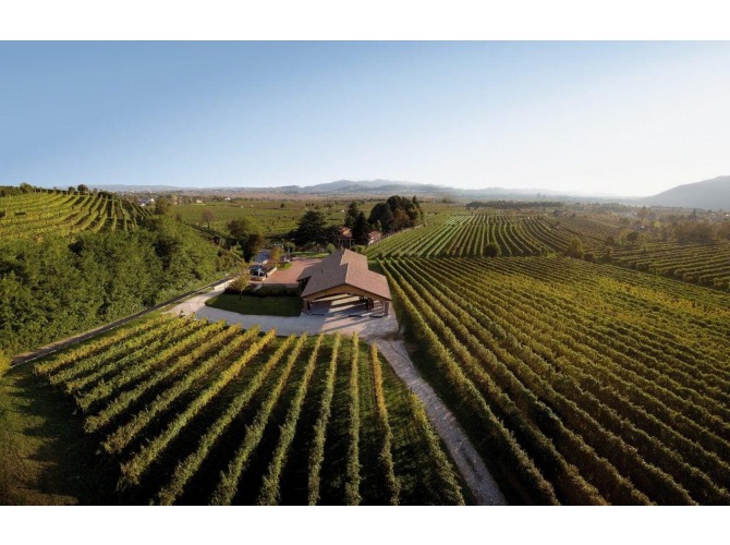 visita-cantina-valdobbiadene