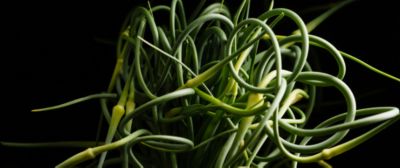10 cose che potete cucinare con i talli dell'aglio