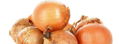 Cipolla di Voghera