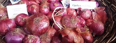 Cipolla rossa di Breme