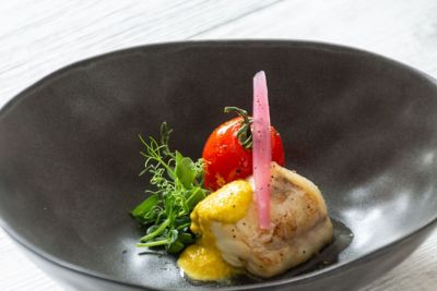 Coda di rospo in padella, crema di fiori di zuccaalt