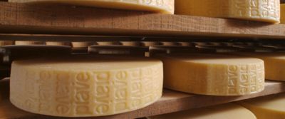 Formaggio Piave DOP