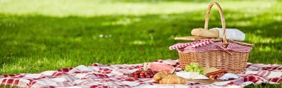 Idee e consigli per organizzare un pic nic