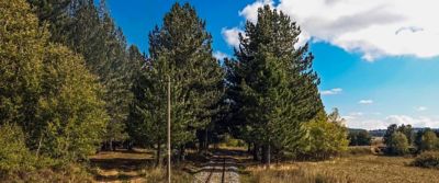 Il Parco Nazionale della Sila e la cucina di montagna