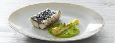 Filetto di ombrina con cipollotti e friggitellialt